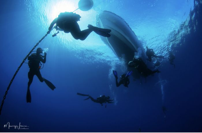 GIAN ANDREA Golfo Aranci foto 4